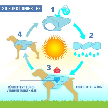 Infografik über eine kühlende Hundeweste: einweichen, auswringen, tragen. Zeigt einen Hund in der Sonne. Der Text lautet "SO FUNKTIONIERT ES" und "KÜHLEFFEKT."