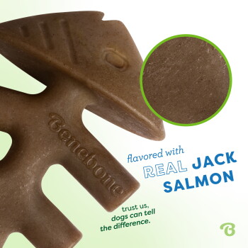 Benebone small fishbone dog chew toy, flavored with jack salmon, suitable for dogs under 30 lbs, with a blue wave background.