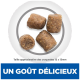 Quatre morceaux de croquettes brunes dans un cercle gris ; texte visible : « Taille approximative des croquettes 12 x 13mm » et « UN GOÛT DÉLICIEUX »