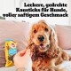 Golden Retriever Hund kaut an verdrehtem Pedigree Rodeo Kauknochen, Hand bietet Leckerli an, deutscher Text darüber.