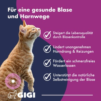 Blauer Hintergrund mit dem Text "Spezielle Zusammensetzung", Icons für "Bärenkrauben-Blätter" und "Cranberry," plus Kapsel- und Pulvergrafik.