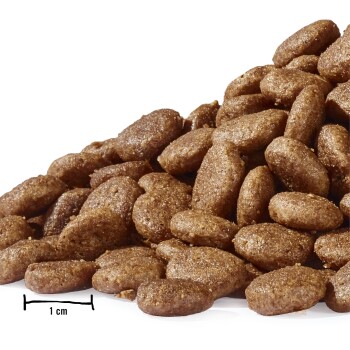 Nahaufnahme eines Haufens brauner Haustierfutter-Kibble, geformt wie kleine ovale Stücke, mit einer Skala, die 1 cm anzeigt.