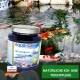Ein Glas Aqua Cereal konzentrierte Milchsäurebakterien für Koi und Teichpflege, mit bunten Koi-Fischen, die im Hintergrund eines Teiches schwimmen.