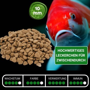 Nahaufnahme eines bunten Koi-Fisches mit 10mm Fischfutterpellets. Text: "Hochwertiges Leckerchen für Zwischendurch" und Nährwertangaben.