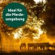 Silhouettierte Pferde, die auf einem sonnenbeschienenen Feld grasen, umgeben von Bäumen, mit dem Text "Ideal für die Pferdeumgebung", der prominent angezeigt wird.