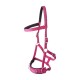 Kappzaum Basic pink WB (Warmblut)