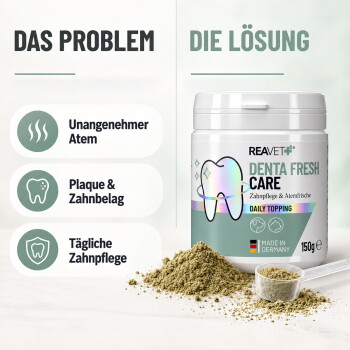 Ein klarer Glasbehälter, gefüllt mit einem Haufen grünlich-braunem Nahrungsergänzungsmittel-Pulver, begleitet von einem kleinen weißen Messlöffel.
