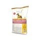 Sack HELP Veterinary Diet Skin & Hair Balancer von Josera, Pferdesilhouette gefüllt mit Sonnenblumen und gelbes 10-kg-Etikett.