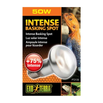 Opakowanie żarówki 50W Intense Basking Spot z zbliżeniem jaszczurki, z napisem "+75% Intense" i logo "Exo Terra."