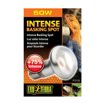 Verpackung einer 50W Intensiv-Baskenlampe mit einem Nahaufnahme eines Eidechsen, mit "+75% Intensiv" und "Exo Terra" Logo.