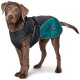 Hundemantel Uppsala Cozy anthrazit/ rot 25 cm