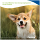 Glücklicher Corgi-Welpe im Gras, Zunge herausgestreckt; deutscher Text 'So unterstützt ihr den Bewegungsapparat eures Hundes' und Canina®-Logo.