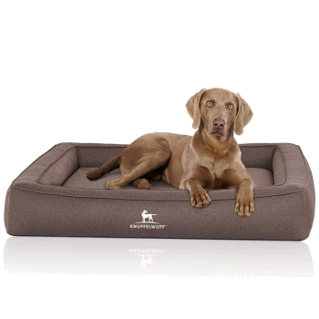 Brauner Hund liegt auf einem rechteckigen braunen Bolster-Hundebett mit weißem 'KNUFFELWUFF'-Logo vorne.