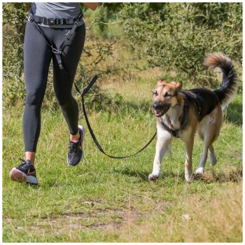 Eine Frau in Sportkleidung joggt auf Gras mit einem glücklichen Hund an der Leine, beide genießen einen sonnigen Tag im Freien.