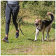 Eine Frau in Sportkleidung joggt auf Gras mit einem glücklichen Hund an der Leine, beide genießen einen sonnigen Tag im Freien.