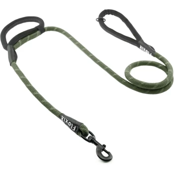 Eine grüne Hundeleine mit einem stabilen schwarzen Clip und gepolsterten Griffen, auf einem weißen Hintergrund aufgewickelt.