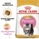 Royal Canin Futterbeutel für Perserkätzchen mit einem flauschigen Perserkätzchen, mit Text, der die Rassenernährung und maßgeschneiderte Kroketten hervorhebt.