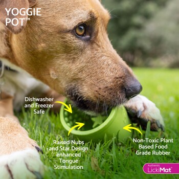 Nahaufnahme eines Hundes, der an einem grünen YOGGIE POT leckt, mit Texten, die spülmaschinenfest, erhöhte Noppen und ungiftigen Gummi hervorheben.