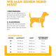 Ein glücklicher weißer sibirischer Husky mit einem lila Hundegeschirr, der vor einem schlichten weißen Hintergrund sitzt, mit herausgestreckter Zunge und lächelnd.
