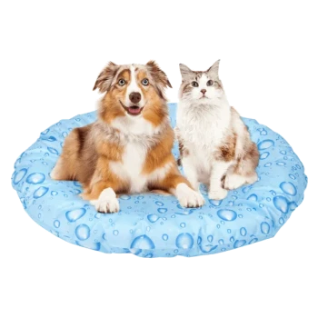 Ein Hund und eine Katze sitzen zusammen auf einem runden, blauen Haustierbett mit einem Wassertropfenmuster.