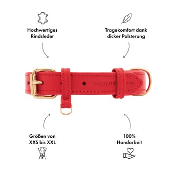 Rote Lederhalsband für Hunde mit goldener Schnalle, mit Text über Qualität, Komfort, Größen XXS-XXL und handwerklicher Verarbeitung.