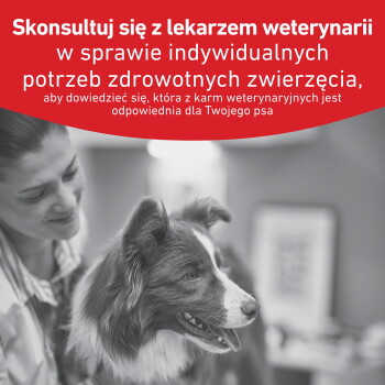 Border Collie u weterynarza z właścicielem; czerwony baner po polsku: 'Skonsultuj się z lekarzem weterynarii' (skonsultuj się z weterynarzem).