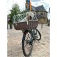 Ein glücklicher weißer Hund sitzt in einem Korb, der an einem Fahrrad befestigt ist, mit einer Kirche und Bäumen im Hintergrund.