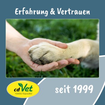 Eine menschliche Hand hält sanft die Pfote eines Hundes auf Gras, mit dem Text "Erfahrung & Vertrauen" und "seit 1999" darüber.