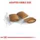 Three pieces of kibble are displayed on a sketched ruler background, with the text "ADAPTED KIBBLE SIZE" prominently above.