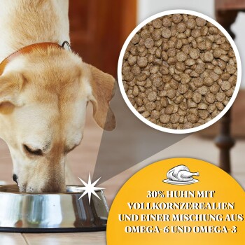 Ein Hund frisst aus einer Edelstahlschüssel, Nahaufnahme von Trockenfutter, mit dem Text: "30% Huhn mit Vollkorn und Omega-6/3-Mix."