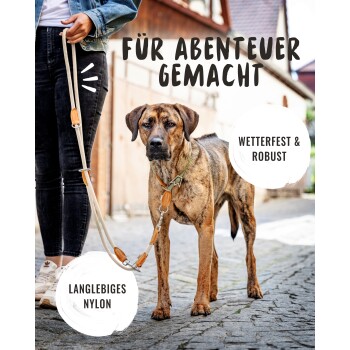 Eine Person hält eine beige Nylon-Hundeleine, die an einem braunen Hund befestigt ist, mit Text: "Für Abenteuer gemacht," "Wetterfest & Robust," "Langlebiges Nylon."