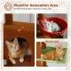 Geräumiger Entspannungsbereich mit einem gemütlichen Katzenbaum mit verschiedenen Ruheplätzen, einschließlich eines Verstecks und zwei Hängematten.