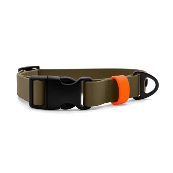Olivgrünes verstellbares Hundehalsband mit schwarzer Kunststoffschnalle, D-Ring und orangefarbenem Silikonhalter vor weißem Hintergrund.