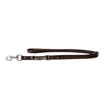 Brown leather dog leash with silver metal clasp and adjustable buckle, laid flat against a white background.