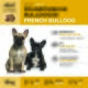 Erwachsenen-Hundefutterpackung für Französische Bulldogge mit zwei Hunden; zeigt 'FRANZÖSISCHE BULLDOGGE / FRENCH BULLDOG', 'ADULT', 10 kg.