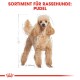 Poodle Adult 7,5 kg