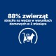 Niebieskie tło z pogrubionym białym tekstem: "88% zwierząt straciło na wadze w 2 miesiące", plus ikona kota z miarką.