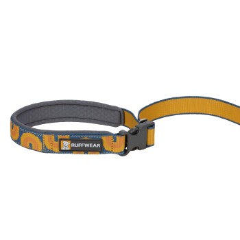 Buntes Hundehalsband von Ruffwear mit einem blauen und gelben Design, mit einer stabilen Schnalle und weicher innerer Polsterung.