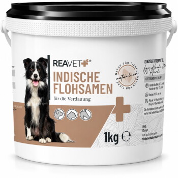 Behälter mit REAVET Indische Flohsamen für die Verdauung, mit einem Border Collie auf dem Etikett, 1kg Größe.