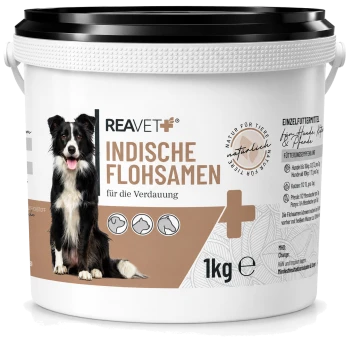 Behälter mit REAVET Indische Flohsamen für die Verdauung, mit einem Border Collie auf dem Etikett, 1kg Größe.