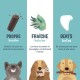 Image promouvant la santé dentaire des chiens : "Propre bouche" avec un bâton à mâcher, "Fraîche haleine" avec de l'eucalyptus, et "Dents fortes" avec une icône de dent.