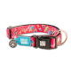 Rotes Haustierhalsband mit Eis- und Popsicle-Muster, schwarzer Schnalle mit Aufschrift "Max & Molly" und blauem Anhänger mit der Aufschrift "Max & Molly Urban Pets."