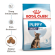 Royal Canin Puppy Maxi dog food bag for 2-15 month puppies, highlighting benefits for immunity, brain development, and kibble size.