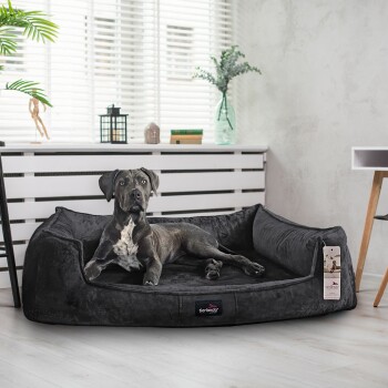 Ein grauer Hund entspannt sich auf einem plüschigen schwarzen Haustierbett mit einem "tierlando"-Tag in einem hellen Raum mit weißen Jalousien und Pflanzen.