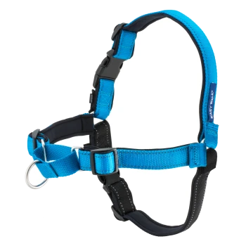 Blaues Hundegeschirr mit verstellbaren Riemen und einem metallenen D-Ring zur Leinenbefestigung, beschriftet mit "EASY WALK."