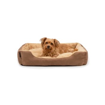 Ein gemütliches Hundebett in Braun und Beige, mit einem kleinen Hund, der sich bequem darin ausruht.