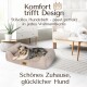 Modernes Hundebett in einem stilvollen Wohnzimmer mit einem entspannten Hund. Text: "Komfort trifft Design - stilvolles Hundebett für jedes Zuhause."