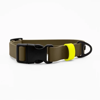 Olivgrünes Hundehalsband mit schwarzer Schnellverschlussschnalle, schwarzem D‑Ring und neongelber Schlaufe vor weißem Hintergrund.