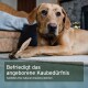 Beiger Hund hält einen Kausnack auf dem Teppich; Überlagerter Text: „Befriedigt das angeborene Kaubedürfnis / Satisfies the natural chewing instinct“