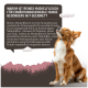Dosen mit reinem Muskelfleisch-Hundefutter für sensible Hunde, beschriftet mit "100% pur" und "hypoallergen" auf Deutsch.